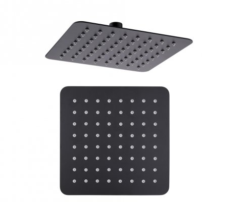 2mm SS SHOWER 1 495x400 - 2mm SS Mirror Shower-Round
